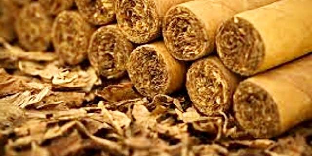 В этом году урожайность табака в Азербайджане была высокой

