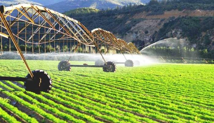 Узбекистан рассматривает возможность применения испанских сельскохозяйственных технологий