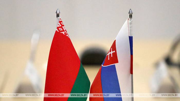 Беларусь и Словакия заинтересованы в развитии сотрудничества
