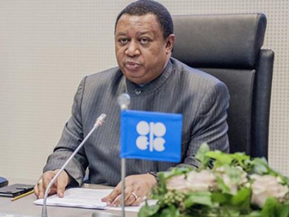 Баркиндо: Были бы рады приветствовать Азербайджан в качестве члена ОПЕК
