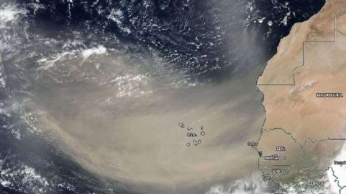 Угрожающее США облако пыли признали крупнейшим за 50 лет

