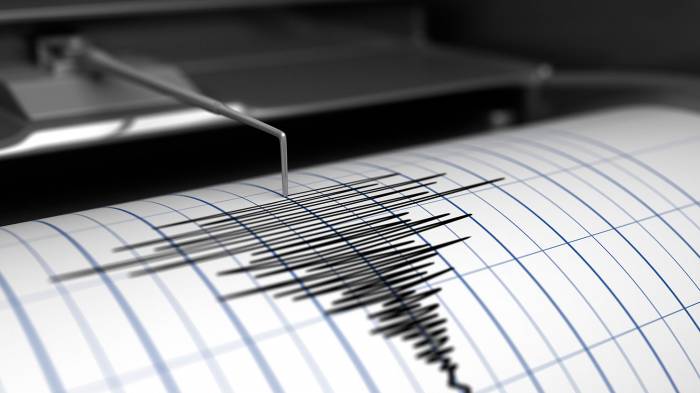 На юго-западе Турции произошло землетрясение магнитудой 5,2
