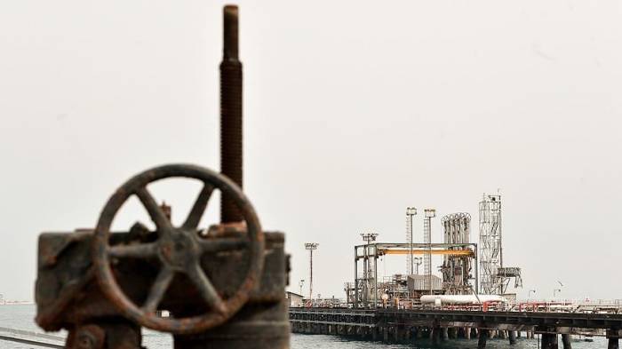 Доля OPEC в мировой добыче нефти в 2019 году сократилась до 39%
