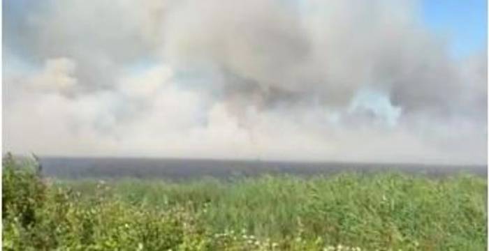 Предотвращен пожар в Гызылагаджском заповеднике