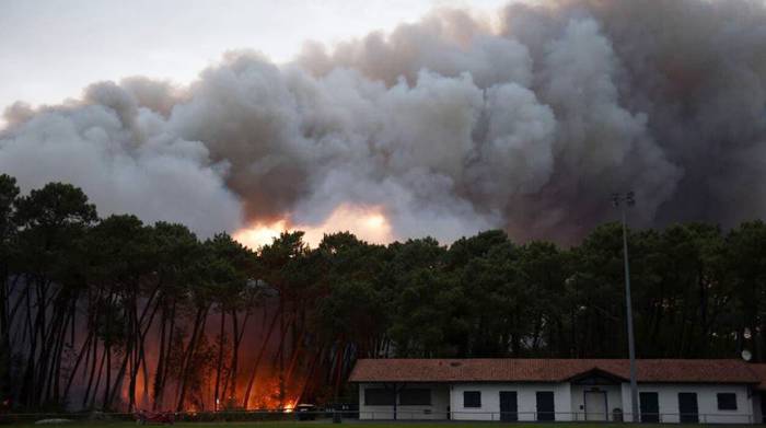 На юго-западе Франции пожар уничтожил более 100 га леса
