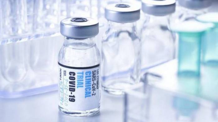 В США сообщили об успехе первой фазы испытания вакцины от COVID-19
