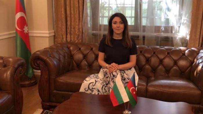 Посол Азербайджана в Болгарии: Находимся на финальном этапе переговоров с ЕС
