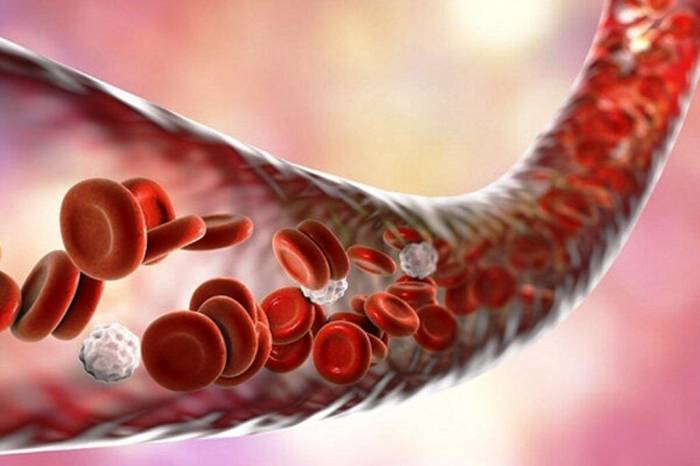 133 000 образцов стволовых клеток пуповинной крови хранились в Иране