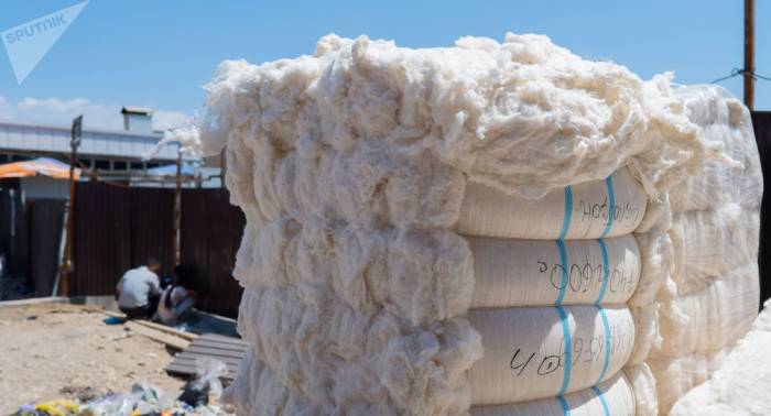 Таджикистан экспортировал хлопка-волокна почти на 50 миллионов долларов