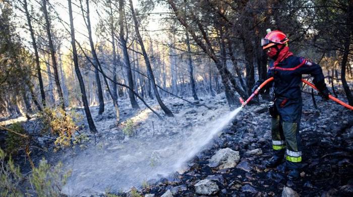 Пожар на юго-востоке Франции уничтожил более 1 тыс. га леса
