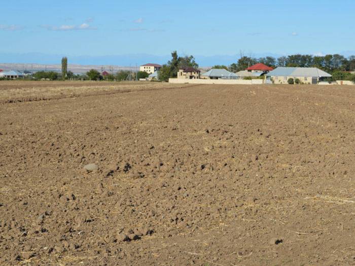 В Азербайджане возникла угроза засоления территорий площадью до 500 тысяч гектаров