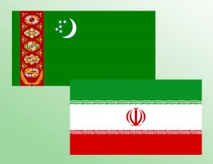 Туркменистан и Иран обменялись опытом по профилактике инфекционных болезней