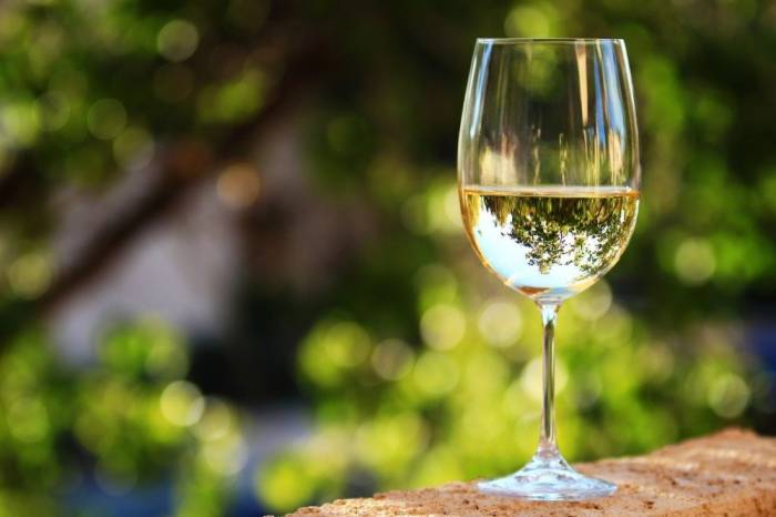 Гастроэнтеролог развеял мифы об опасности сухого вина для желудка
