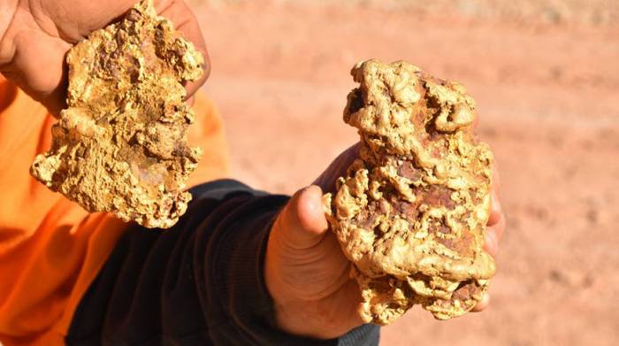 В Австралии нашли сверхбольшие золотые самородки
