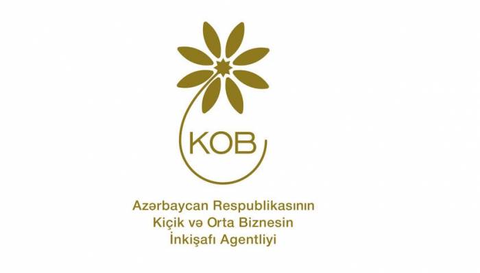 Реализация Германо-азербайджанской совместной программы  продолжается в онлайн-режиме
