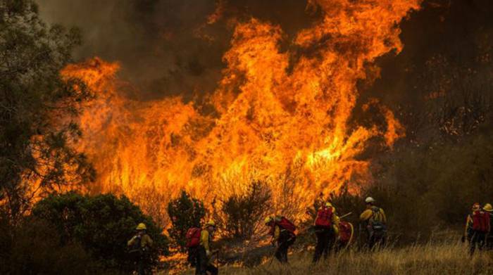 Почти 100 крупных пожаров полыхают в трех штатах США

