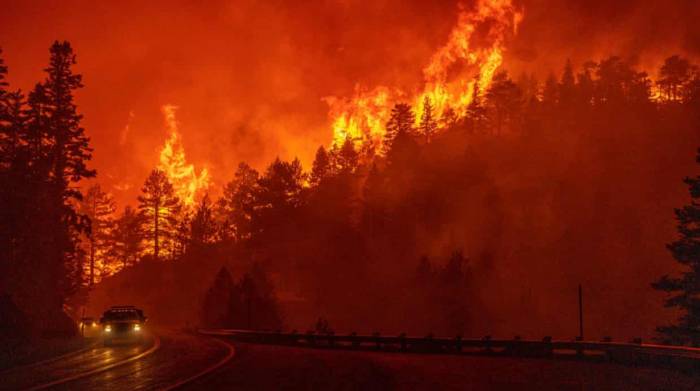 Пожар в Калифорнии угрожает жителям более тысячи домов
