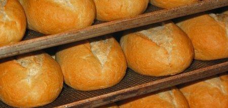 Глава Ассоциации зерноводов о повышении цен на хлеб 