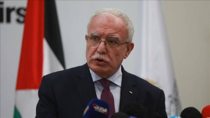 Палестина отказалась от председательства в ЛАГ
