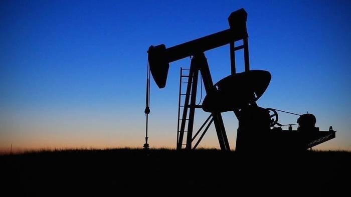 Цена нефти марки Brent поднялась до $ 45,75

