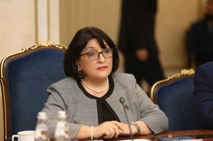 О деталях визита спикера парламента Азербайджана в Россию
