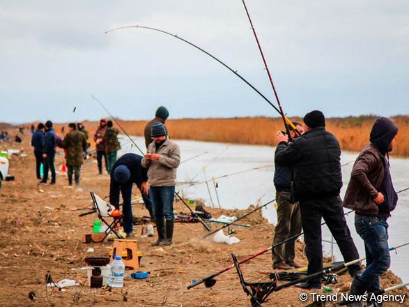 В Азербайджане развивается рыболовный туризм
