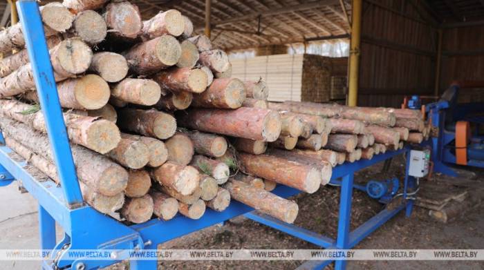 Более $120 млн заработали лесхозы с начала года на экспорте продукции
