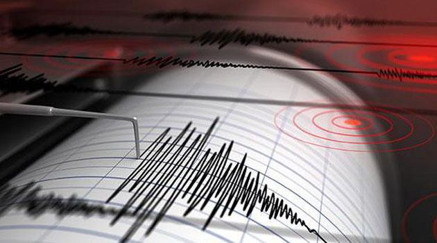 В Тихом океане произошло землетрясение 
