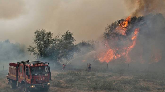 Пожары в Испании уничтожили почти 9 тыс. гектаров леса
