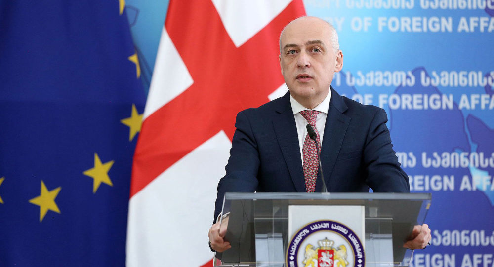 Глава МИД Грузии: разговор по делимитации границы с Азербайджаном продолжится