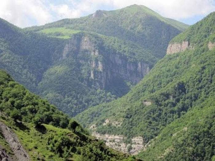 На оккупированных территориях Азербайджана нещадной эксплуатации подвергались 260 тыс. га уникальных лесов

