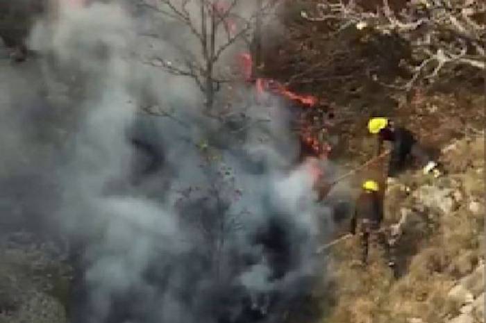 Потушен лесной пожар, произошедший в Дашкесане в результате армянского обстрела 