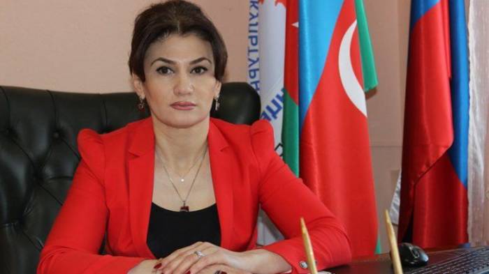 Глава Федеральной национально-культурной автономии азербайджанцев России направила обращение Президенту РФ
