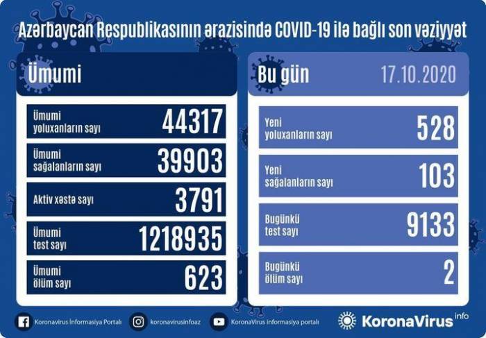 В Азербайджане выявлено 528 новых случаев инфицирования коронавирусом
