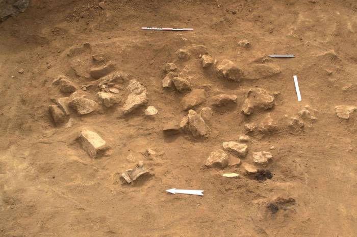 Артефакты, найденные в ходе археологических раскопок в Агдаме, вывозятся в Армению - Хикмет Гаджиев