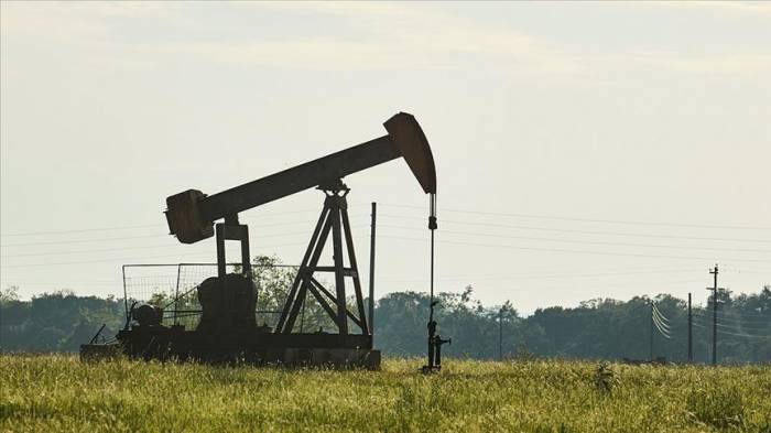 Цена барреля нефти марки Brent превысила 45$
