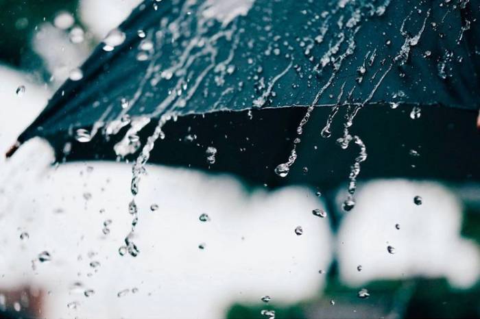 В Азербайджане разрабатывается законопроект об использовании дождевой воды

