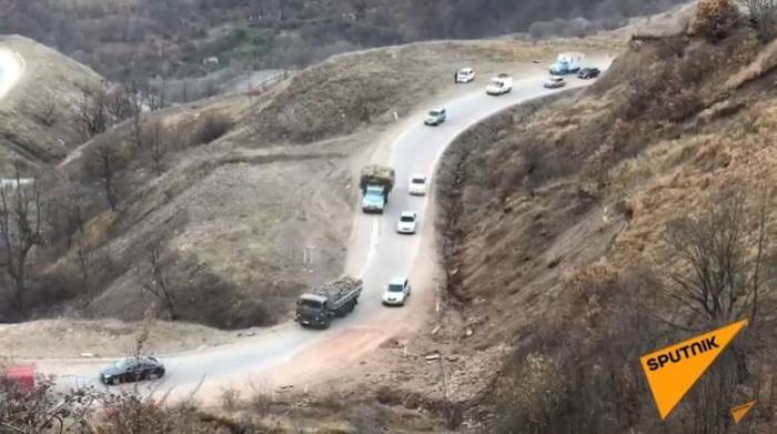 Покидающие Кяльбаджар армяне вырубают деревья и увозят с собой в Армению - ВИДЕО