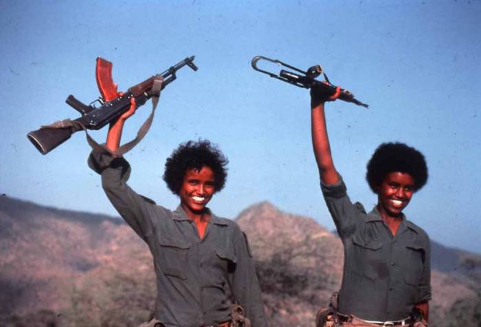 Reuters: мятежники из эфиопского штата Тыграй признали нанесение удара по Эритрее