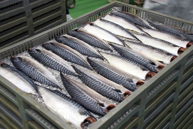 Грузия увеличила экспорт рыбы в Азербайджан