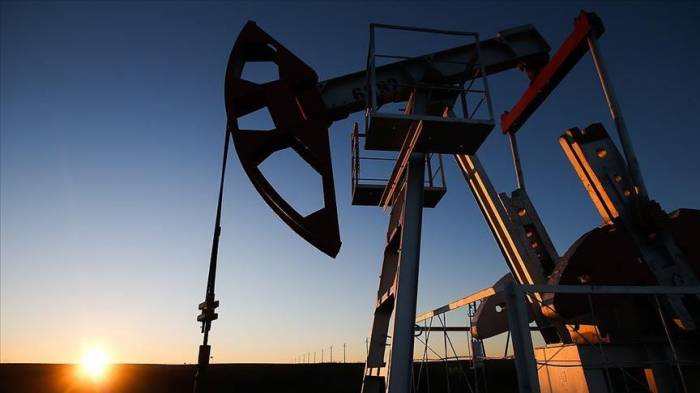 Цена на нефть марки Brent превысила $44
