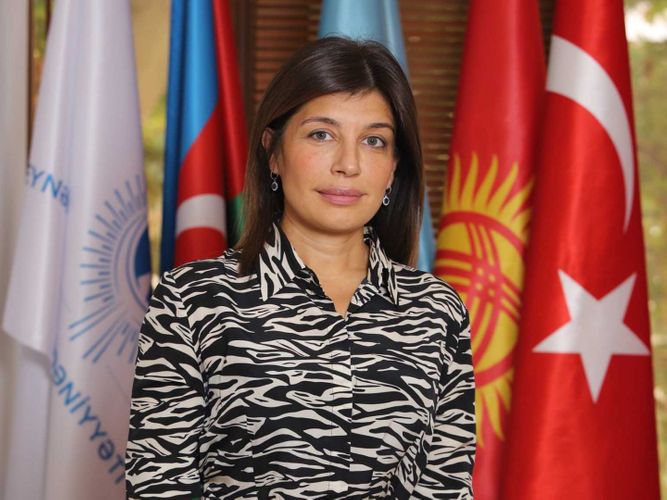 Президент Международного фонда тюркской культуры и наследия направила письмо Ильхаму Алиеву
