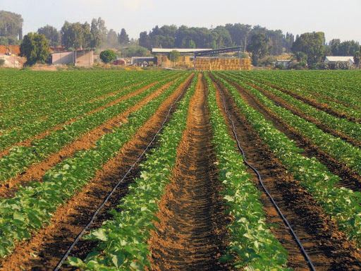 Выплата субсидий фермерам начнется в декабре - минсельхоз Азербайджана
