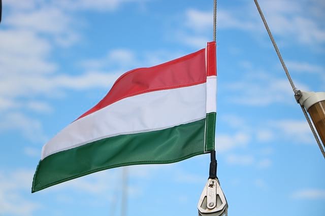 Правительство Венгрии вводит комендантский час
