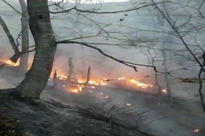 В Азербайджане в результате обстрела армянскими ВС произошли пожары в лесах и на гражданских объектах