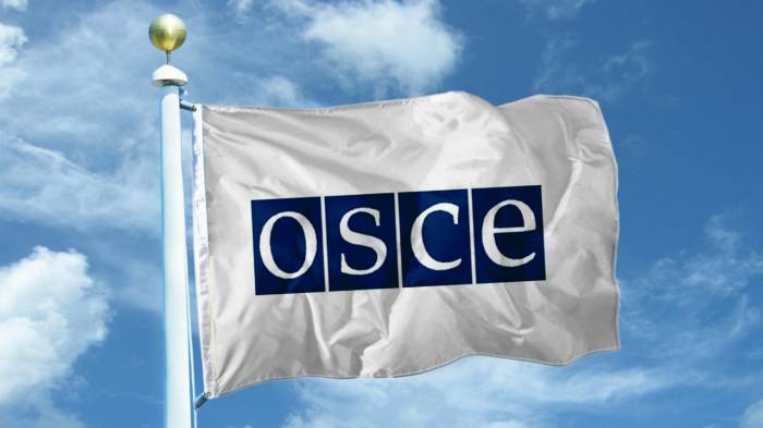 ОБСЕ может сыграть роль в постконфликтном восстановлении в Карабахе