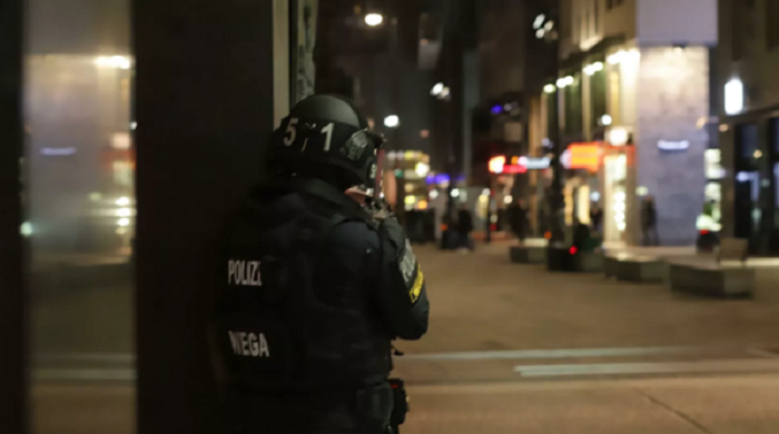 При стрельбе в центре Вены погибли семь человек

