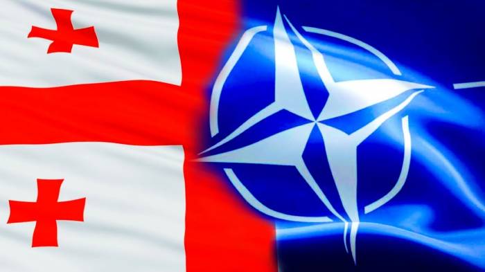 Министр обороны Грузии рассказал об отношениях с НАТО
