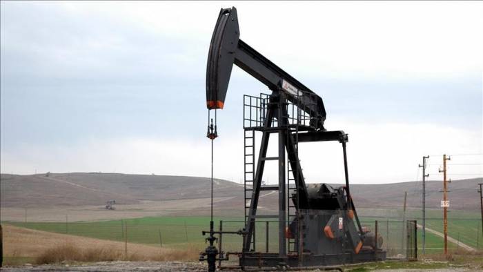 Цена барреля нефти марки Brent превысила $47

