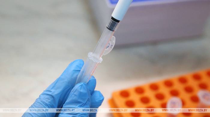 ВОЗ обнаружила мутацию коронавируса в Дании, Нидерландах и Австралии
